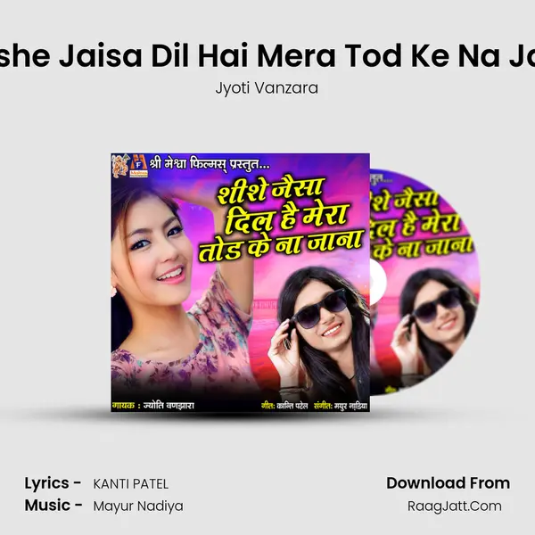 Shishe Jaisa Dil Hai Mera Tod Ke Na Jana - Jyoti Vanzara