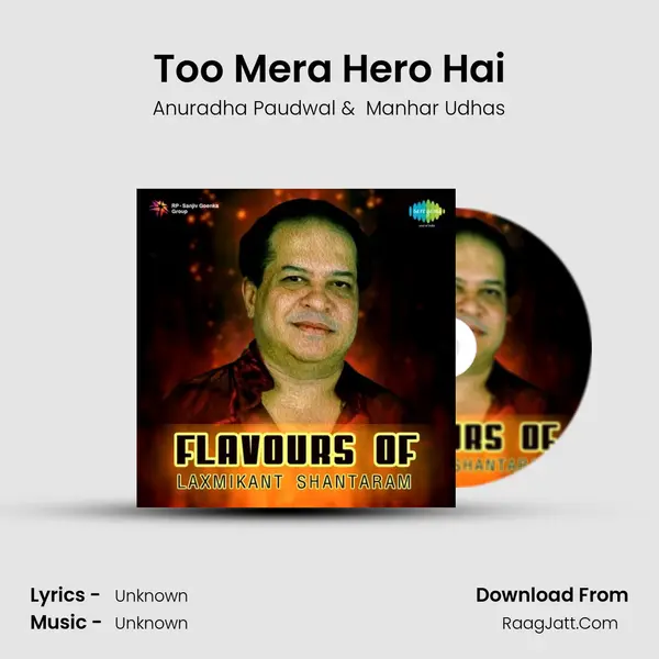 Too Mera Hero Hai Cover