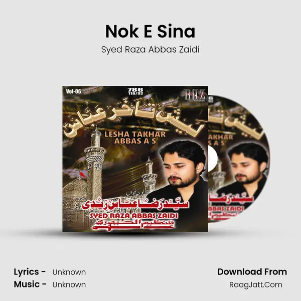 Nok E Sina MP3 Song by Syed Raza Abbas Zaidi Cover