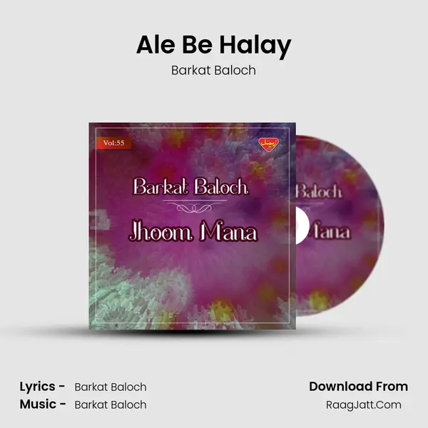 Ale Be Halay MP3 Song by Barkat Baloch Cover