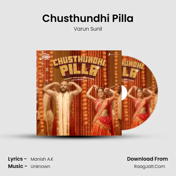 Chusthundhi Pilla mp3 song