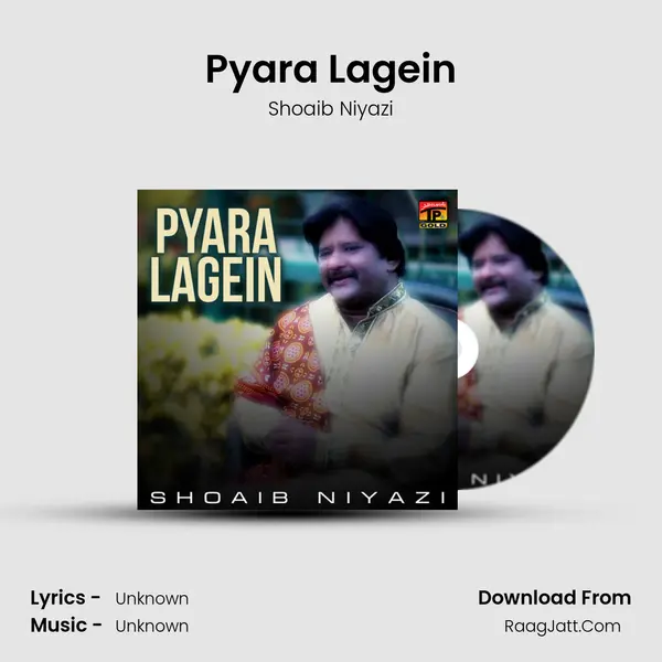 Pyara Lagein - Single - Shoaib Niyazi