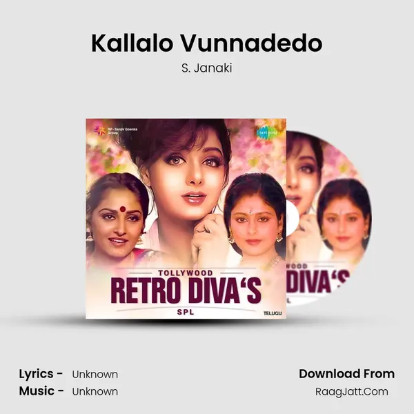Kallalo Vunnadedo Cover