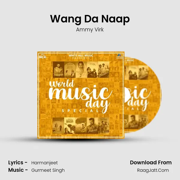 Wang Da Naap Cover