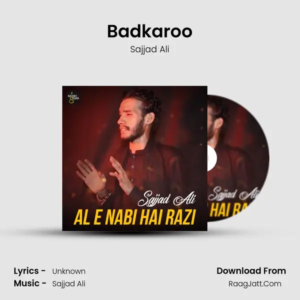 Badkaroo MP3 Song by Sajjad Ali Cover