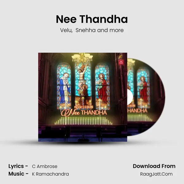 Nee Thandha Cover