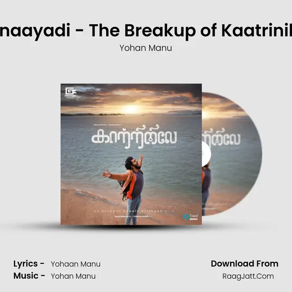 Ponaayadi - The Breakup of Kaatriniley MP3 Song by Yohan Manu Cover
