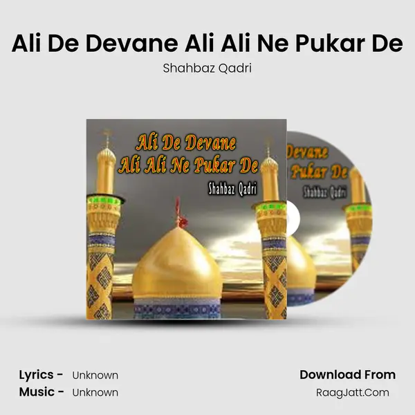 Ali De Devane Ali Ali Ne Pukar De MP3 Song by Shahbaz Qadri Cover
