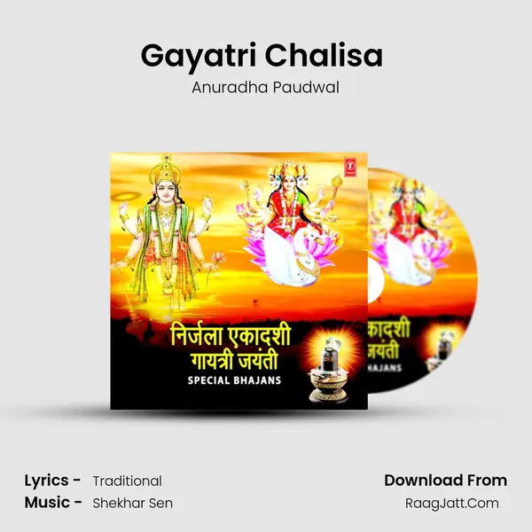 Gayatri Chalisa (From "Chalisa Sangrah") Cover