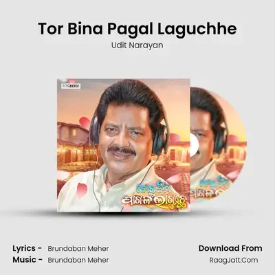 Tor Bina Pagal Laguchhe - Udit Narayan
