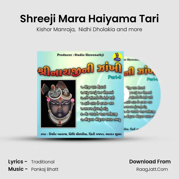 Shreeji Mara Haiyama Tari mp3 song