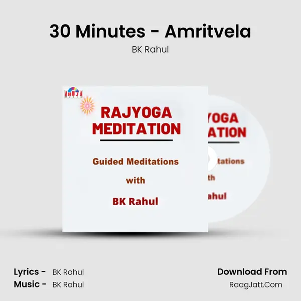 30 Minutes - Amritvela MP3 Song by BK Rahul Cover