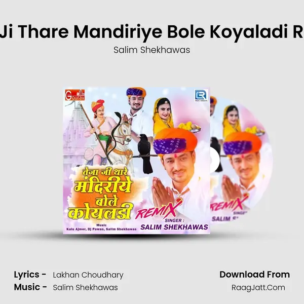 Teja Ji Thare Mandiriye Bole Koyaladi Remix - Salim Shekhawas