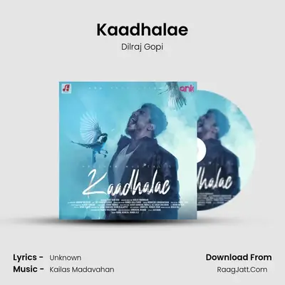 Kaadhalae MP3 Song by Dilraj Gopi Cover