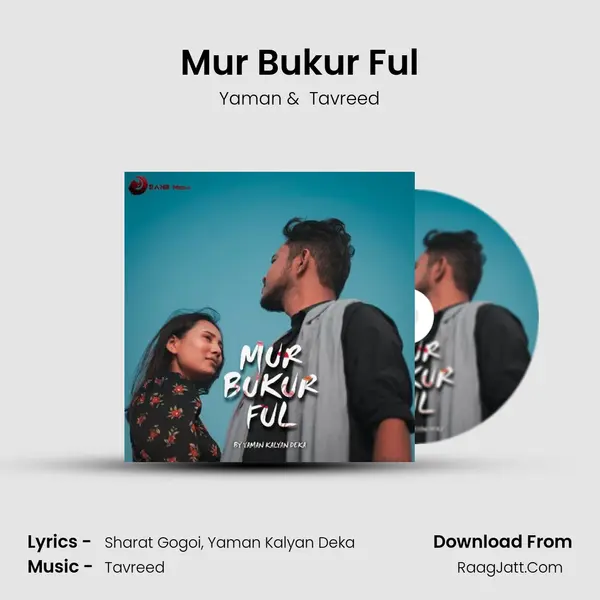 Mur Bukur Ful - Yaman