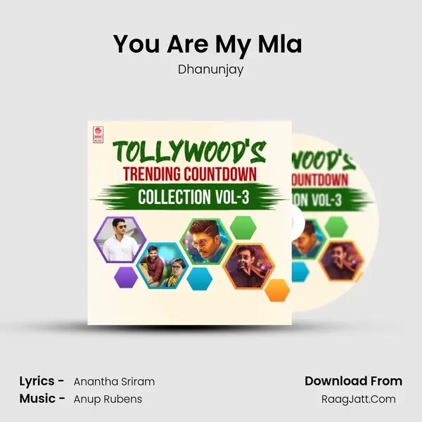 You Are My Mla (From "Sarrainodu") Cover