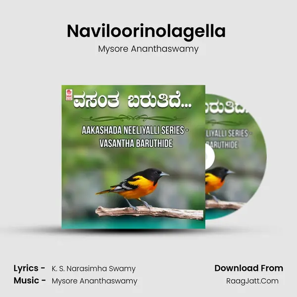 Naviloorinolagella (From 