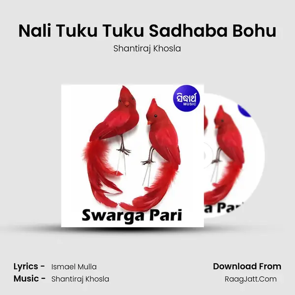 Nali Tuku Tuku Sadhaba Bohu MP3 Song by Shantiraj Khosla Cover