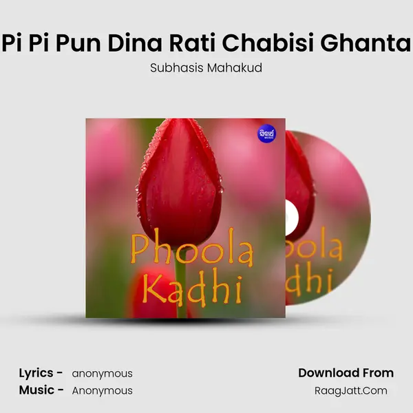 Pi Pi Pun Dina Rati Chabisi Ghanta MP3 Song by Subhasis Mahakud Cover