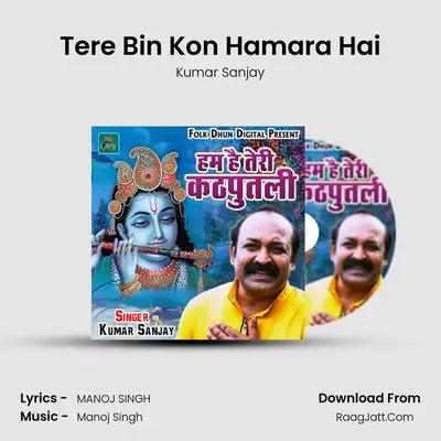Tere Bin Kon Hamara Hai Cover