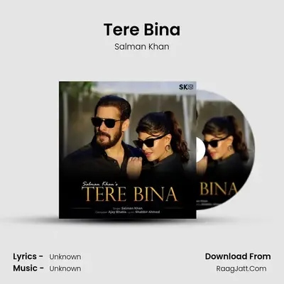 Tere Bina Cover