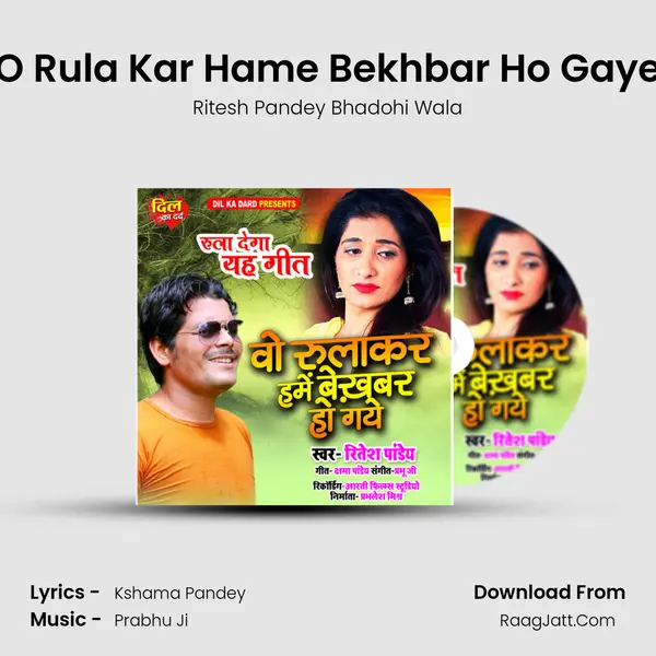 O Rula Kar Hame Bekhbar Ho Gaye MP3 Song by Ritesh Pandey Bhadohi Wala Cover