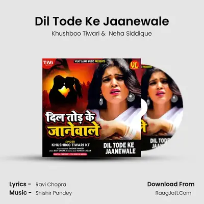 Dil Tode Ke Jaanewale mp3 song