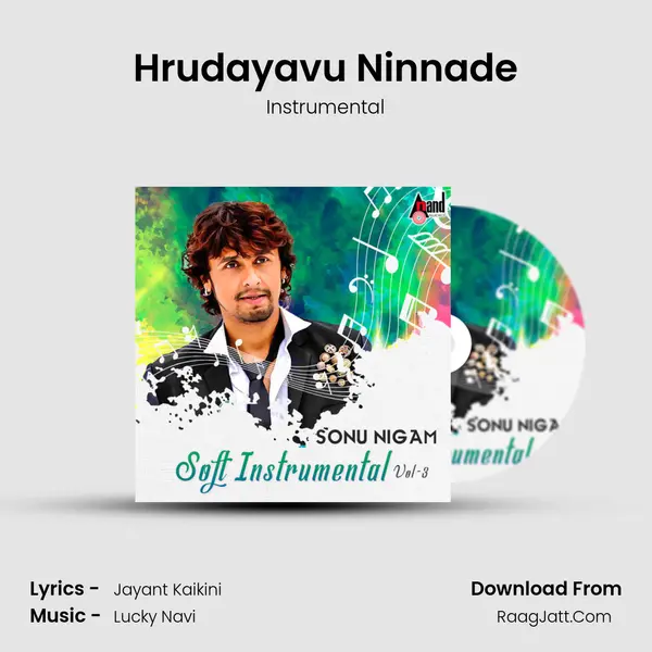Hrudayavu Ninnade MP3 Song by Instrumental Cover