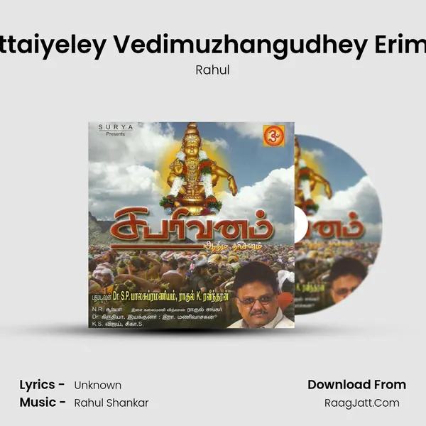 Pettaiyeley Vedimuzhangudhey Erimeli MP3 Song by Rahul Cover