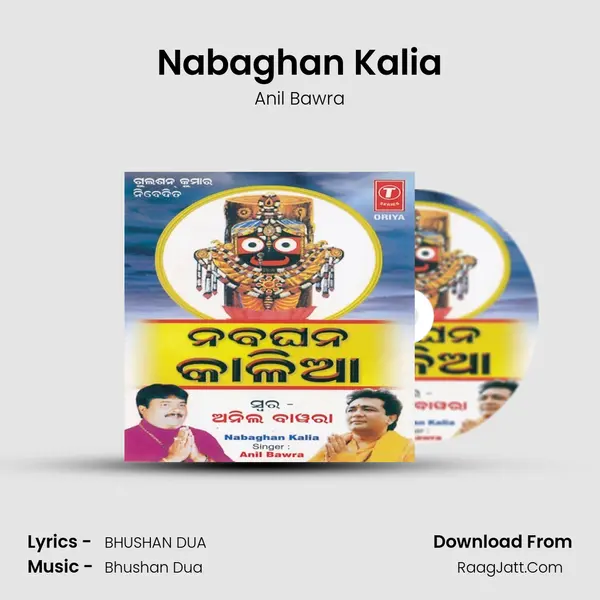 Nabaghan Kalia - Anil Bawra