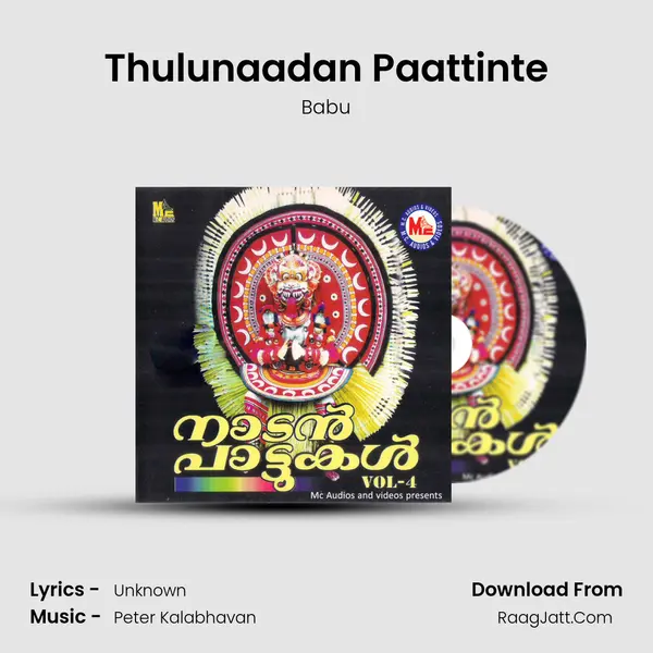 Thulunaadan Paattinte MP3 Song by Babu Cover