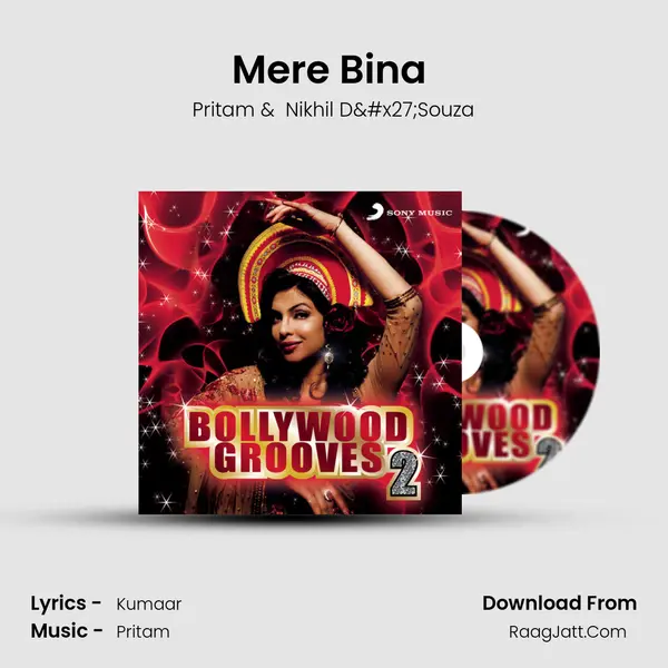 Mere Bina (From "Crook") Cover
