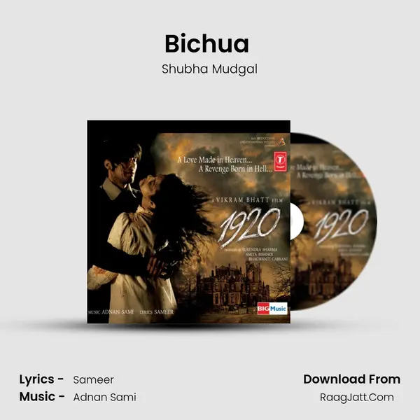 Bichua (Remix) MP3 Song by Shubha Mudgal Cover