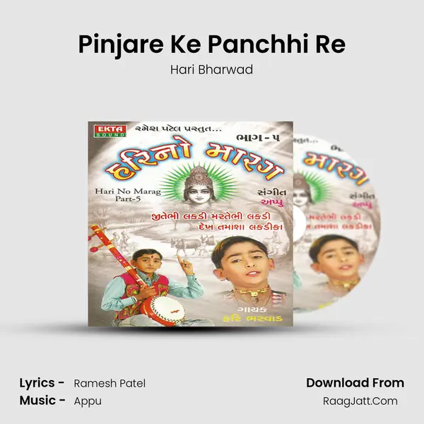 Pinjare Ke Panchhi Re MP3 Song by Hari Bharwad Cover