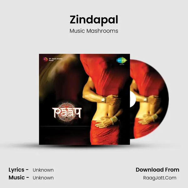 Zindapal MP3 Song by Music Mashrooms Cover