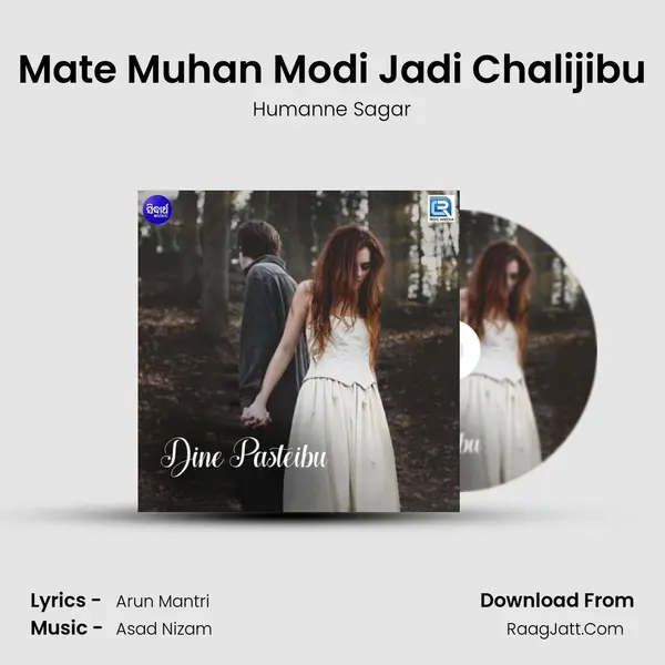 Dine Pasteibu - Humanne Sagar