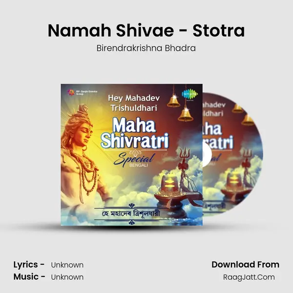 Namah Shivae - Stotra Cover