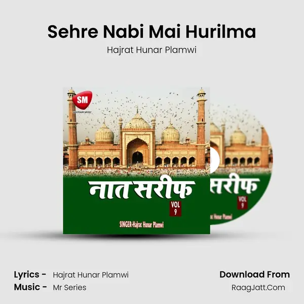 Sehre Nabi Mai Hurilma MP3 Song by Hajrat Hunar Plamwi Cover