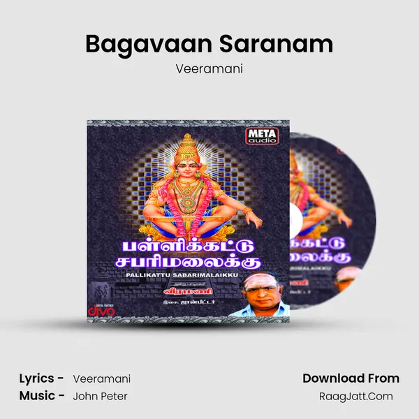 Bagavaan Saranam MP3 Song by Veeramani Cover