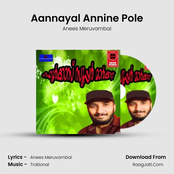 Aannayal Annine Pole MP3 Song by Anees Meruvambai Cover