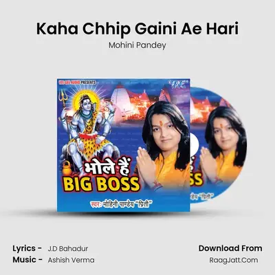 Kaha Chhip Gaini Ae Hari mp3 song