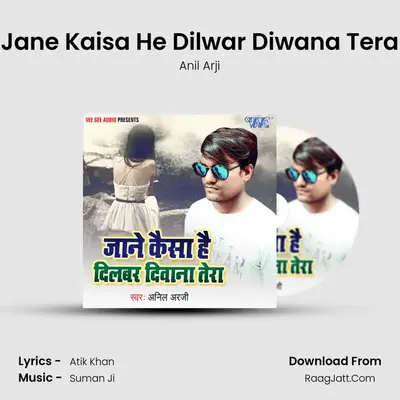Jane Kaisa He Dilwar Diwana Tera - Anil Arji