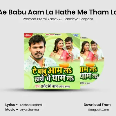 Ae Babu Aam La Hathe Me Tham La mp3 song