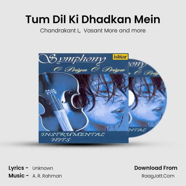 Tum Dil Ki Dhadkan Mein mp3 song