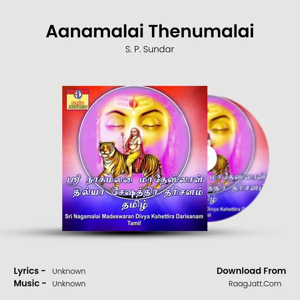 Aanamalai Thenumalai MP3 Song by S. P. Sundar Cover