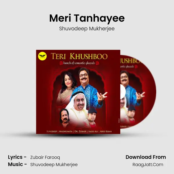 Meri Tanhayee mp3 song