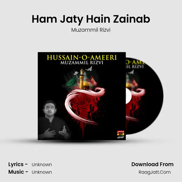 Ham Jaty Hain Zainab MP3 Song by Muzammil Rizvi Cover