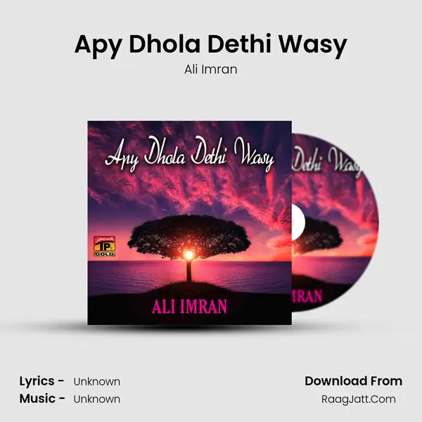 Apy Dhola Dethi Wasy MP3 Song by Ali Imran Cover