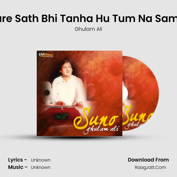Tumhare Sath Bhi Tanha Hu Tum Na Samjho Ge MP3 Song by Ghulam Ali Cover