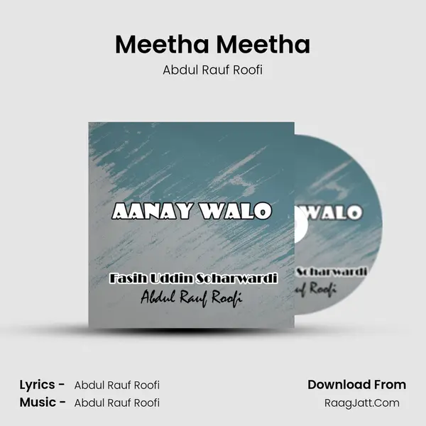 Meetha Meetha MP3 Song by Abdul Rauf Roofi Cover